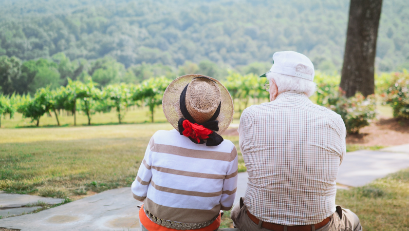 eldery couple viewing a vineyard